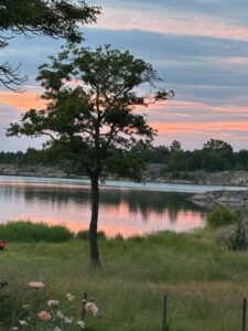 Vacker sommarvy från Aspöja i den Östgötska skärgården.